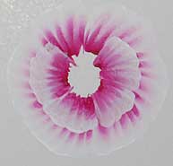 ошибки в макияже