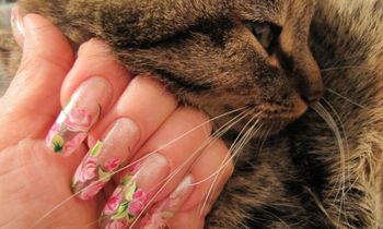 Фото нарощенных ногтей с рисунком