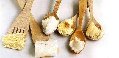 Как сделать кожу эластичной: чудесный ланолин